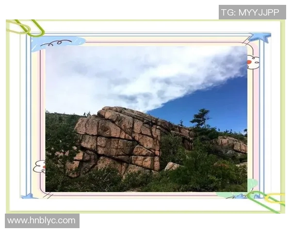 林孔探秘：揭示自然与人文交融的奇妙世界