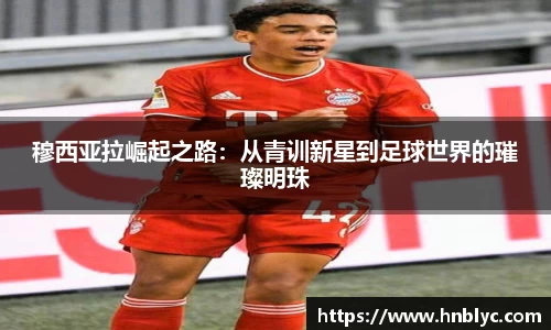 三亿体育官网版