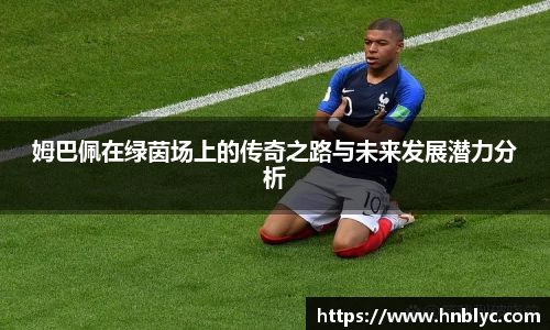 三亿体育官网版